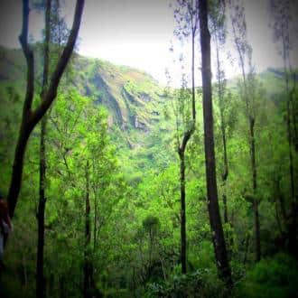 Stay In A Villa In Chikmagalur, Chikmaglur 2